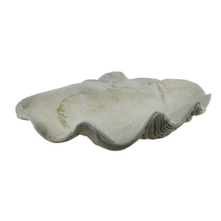 Fossil Finish Plaster Giant Clam Shell Decorative Bowl 22 Inches