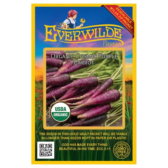 Everwilde Farms - 500 Organic Cosmic Purple Carrot Seeds - Gold Vault Jumbo Bulk Seed Packet