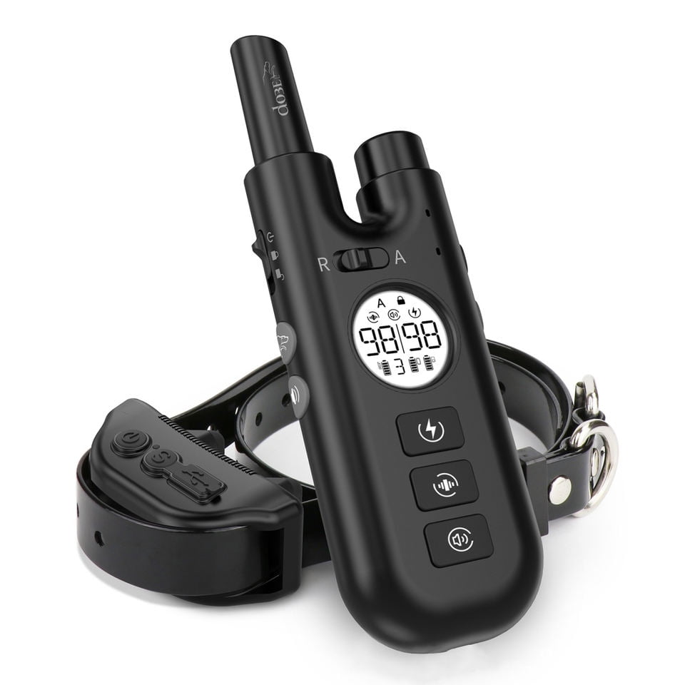 Dog shock collar in store discount