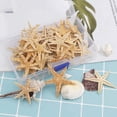 thumbnail image 4 of Bobasndm Starfish Multi-purpose 1 Box Natural Ocean Beach Seashells Solid High Quality for Party, 4 of 7