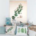 thumbnail image 2 of Designart ' Ancient Botanicals XIII ' Farmhouse Canvas Wall Art Print, 2 of 4