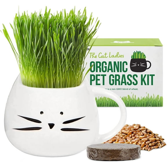 The Cat Ladies Organic Cat Grass Kit 1 Count, Indoor Cat Grass with Soil and Seeds for Easy Planting