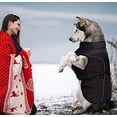 thumbnail image 3 of Chaqueta para perros grandes, chaleco reflectante impermeable de invierno con hebilla ajustable, ropa cálida para perros con forro polar, color negro, talla 3XL, 3 of 4