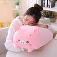 thumbnail image 1 of Almohada de Felpa Hitoshe Cerdo Suave Rosa Relleno Cuerpo Juguete, 1 of 2