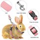 thumbnail image 2 of Adjustable Rabbit Harness Leash Bunny Harness Leash, Harness Leash For Pet Safety Walk Running Jogging, Pet Harness Leash For Bunny Cat Puppy Kitten F, 2 of 4