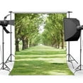thumbnail image 1 of BSDHOME Polyester 5x7ft Photography Backdrop Nature Forest Trees Grass Field Sunshine Rustic Wedding Backdrops Seamless Baby Kids Children Lover Portraits Background Photo Studio Props, 1 of 3