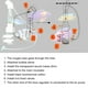 thumbnail image 4 of Criadero De Peces, Rentable, Inevitable, Ubicuo, Ubicuo Para El Hogar, 4 of 7