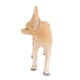 thumbnail image 4 of Figuras de Zorro Juguete Animales del Bosque Salvaje Juguetes Decoración Modelo Educativo de Aprendizaje Conjunto de Juegos Modelo Animal Cognitivo Juguete Modelo Animal Juguete ANGGREK Otros, 4 of 8