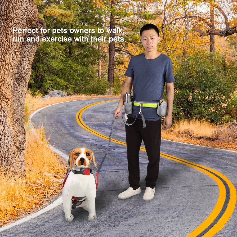 Dog walking leash belt hotsell