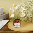 thumbnail image 4 of Mini Positive Crochet Potted Crochet Of The Valley With Positive Cards Inspirational Crochet Flower Pot Decoration Positive Crochet Toy, 4 of 6