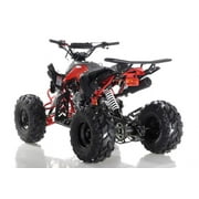 Apollo Blazer 9 125cc ATV with 9 Tires and Reverse Fully-Automatic