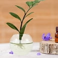 thumbnail image 2 of UPKOCH Transparent Aquarium Bowl Micro Landscape Vase Bowl 12.00X12.00X12.00CM, 2 of 8
