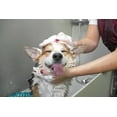 thumbnail image 3 of Groomer Essentials Sprayer Dilution Bottle-Pack of 4, 3 of 4