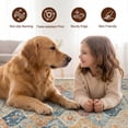 thumbnail image 4 of ICEANT 3'x5' Non-Slip Doormat with Gripper, Boho Vintage Style Area Rug Machine Washable Aesthetic Throw Carpet for Bedroom Living Room, MultiColor, 4 of 5