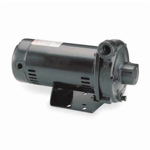 Dayton Cast Iron 1-1/2 HP Straight Center Discharge Pump 115/230V 4RU75