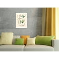 thumbnail image 4 of Irapay Palm Tree (Lepidocaryum Tenue) - Vintage Botanical Illustration by Carl Friedrich Philipp von Martius c.1820s - Bamboo Fine Art 290gsm Paper Print (Unframed) 24x32in, 4 of 4