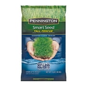 Pennington Seed 100526675 3 Pound Mart Turf Tall Seed