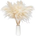 thumbnail image 1 of Coofit Dried Grass Flower Fluffy 10PCS Pompous Grass Decor Dried Reed Bundle for Home, 1 of 10