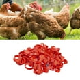 100Pcs Chicken Leg Rings Clip On Bright Color Sturdy Plastic Numbered ...