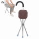 thumbnail image 5 of Taburete de Bastón Plegable Silla de Bastón Portátil con Acero Inoxidable Gran Capacidad de Carga Conveniente Y Práctico para Personas Mayores Estable Y Segura, 5 of 8