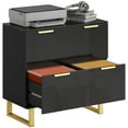 thumbnail image 1 of HOMCOM 2 Drawer File Cabinet Lateral Filing Cabinet High Gloss Black, 1 of 10