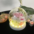 thumbnail image 1 of Day Gift with Light Unique Floral Gift Preserved Real Carnation Rose Pink, 1 of 8
