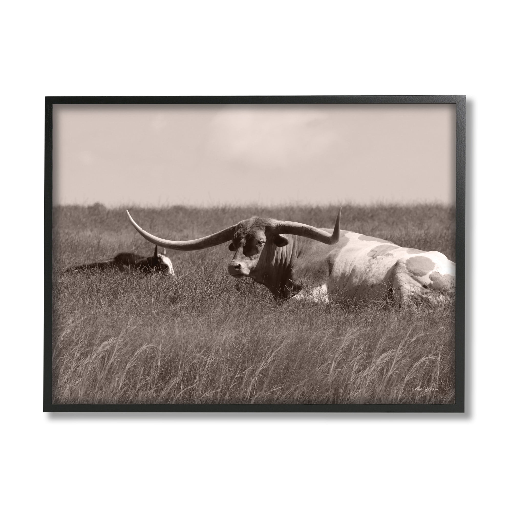 Stupell Industries Longhorn Cattle Basking Countryside Sun Pasture , 20 x 16, Design by Lori Deiter