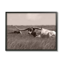 Stupell Industries Longhorn Cattle Basking Countryside Sun Pasture Photography Black Framed Art Print Wall Art, 14x11, by Lori Deiter