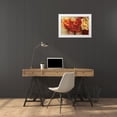 thumbnail image 3 of Rowan, Carol 14x11 White Modern Wood Framed Museum Art Print Titled - Chelsea Gerberas - Wag, 3 of 4