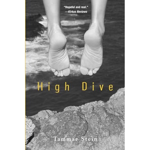 Pre-Owned High Dive, 9780440239031, 0440239036, Paperback, Reprint edition