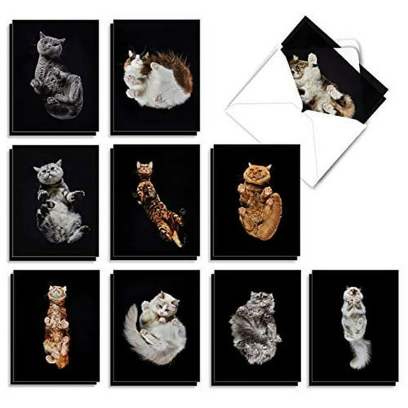 The Best Card Company - 20 Adorable Cat Greeting Cards (4 x 5.12 Inch) - Blank Assortment (10 Designs, 2 Each) - Under Cats AM7185OCB-B2x10