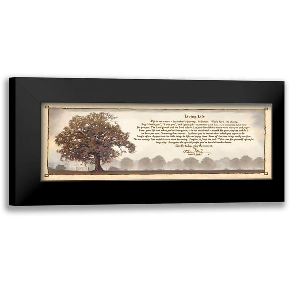 Mohr, Bonnie 14x7 Black Modern Framed Museum Art Print Titled - Living Life