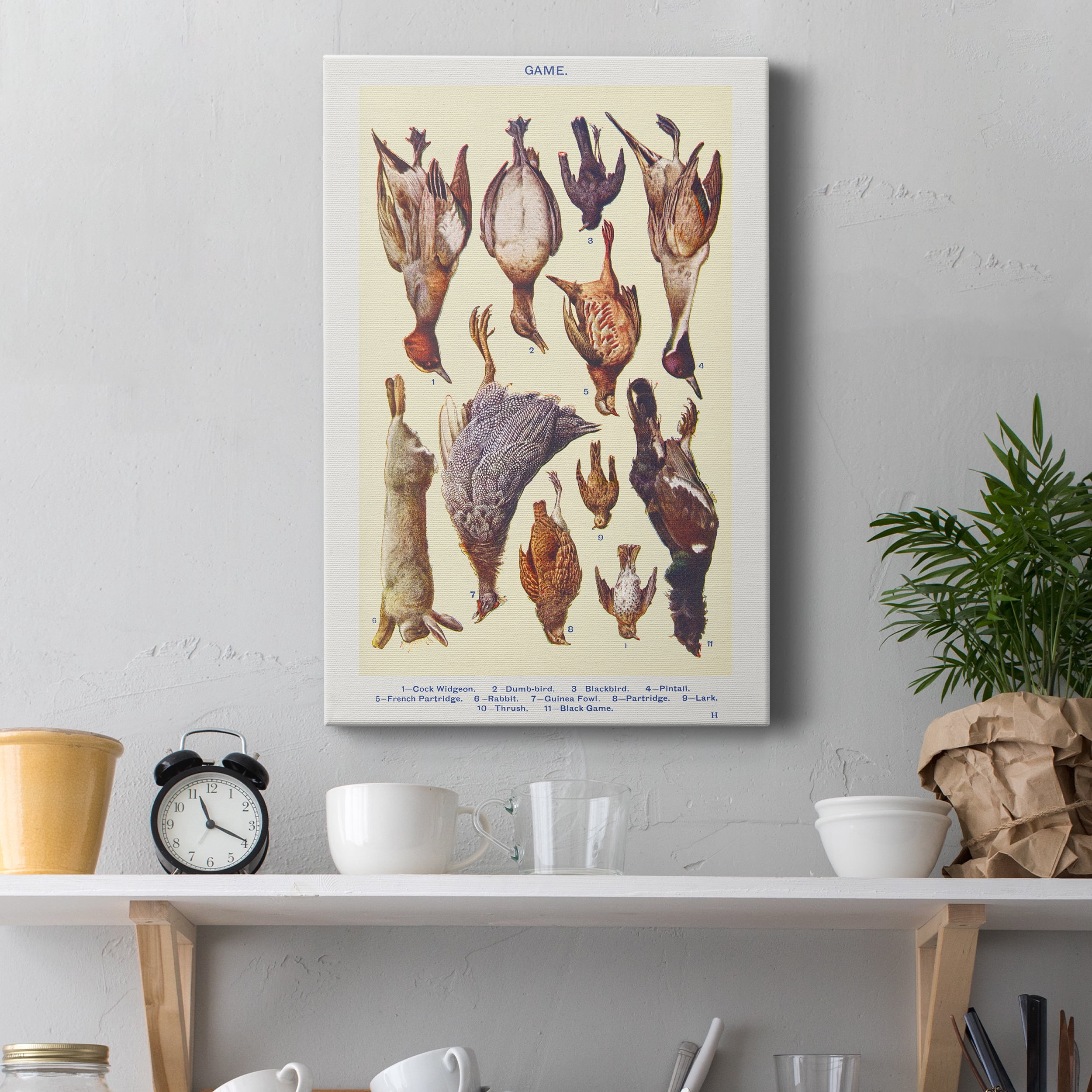 Game II Cock Widgeon, Dumb–bird, Blackbird, Pintail, French Partridge, Rabbit, Guinea Fowl, Partridge, Lark, Thrush, and Black Game Premium Gallery Wrapped Canvas - Ready to Hang - 8 x 12
