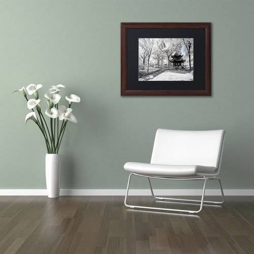 Trademark Fine Art "Coldness" Canvas Art by Philippe Hugonnard, Black Matte, Wood Frame