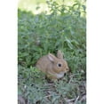 thumbnail image 2 of HI-LINE GIFT LTD. SITTING RABBIT, 2 of 5