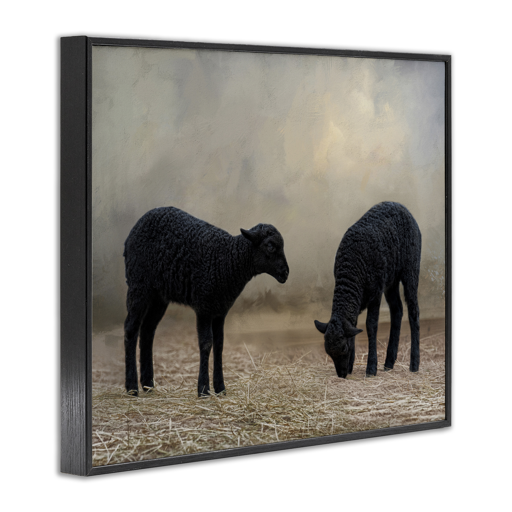 Stupell Industries Black Sheep Grazing Animals & Insects Photography Black Framed Art Print Wall Art, 30 x 24