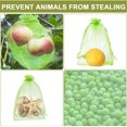 thumbnail image 2 of 30 unidades Bolsa protectora para racimos de uvas, 30x40 cm, Color: Verde, con Cordón, Da Protección Total Contra Avispas, Pájaros, Material JM, 2 of 5