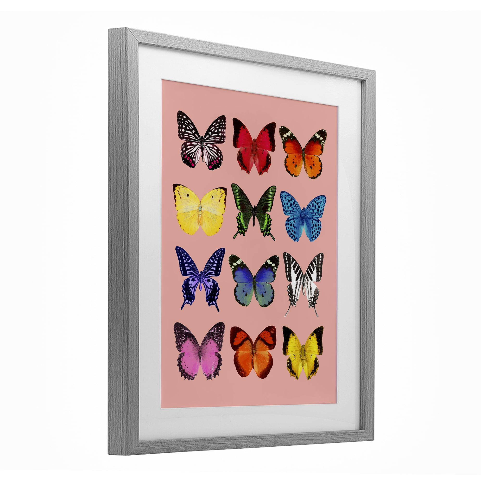 Butterfly Species on Pink Gray Framed Print Under Glass, design by LISH Creative