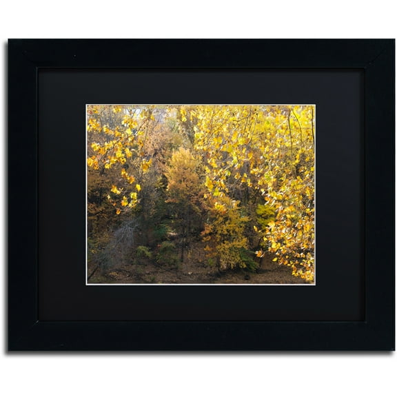 Trademark Fine Art "Golden Autumn 2" Canvas Art by Kurt Shaffer, Black Matte, Black Frame