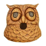 Faces Bird House Owl