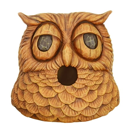 Faces Bird House Owl