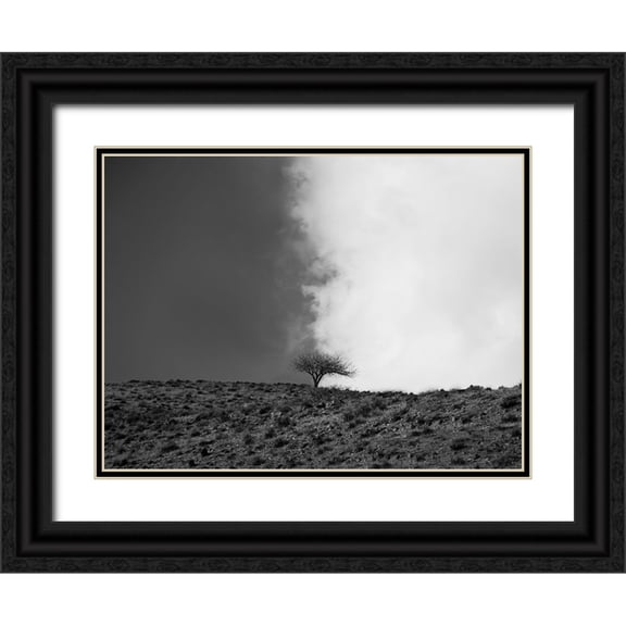 Noori, Saba 14x12 Black Ornate Wood Framed with Double Matting Museum Art Print Titled - The sky is mine