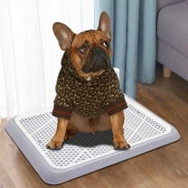 Didog Portable Dog Training Toilet Puppy Pad Holder Tray Indoor Pet Potty Litter Box