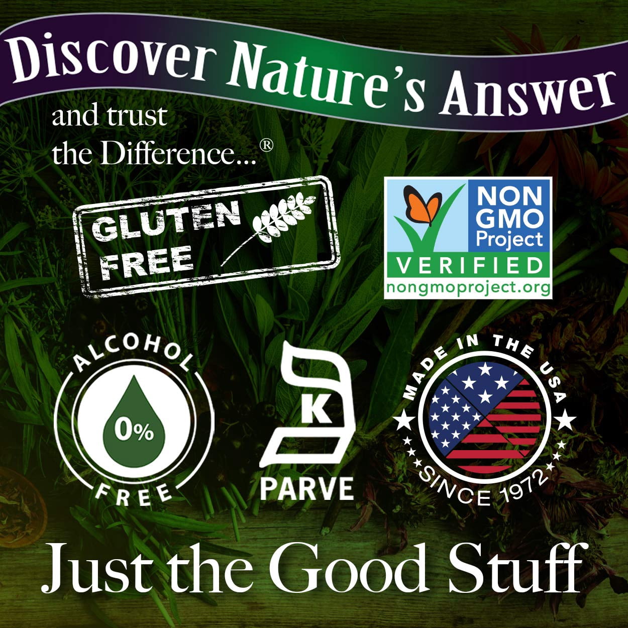 Nature's Answer Echinacea and Goldenseal Root 2oz Alcohol Free