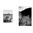 thumbnail image 3 of Vineyards : Photographs by Fred Lyon (beautiful photographs taken over seventy years of visiting vineyards around the world) (Hardcover), 3 of 12
