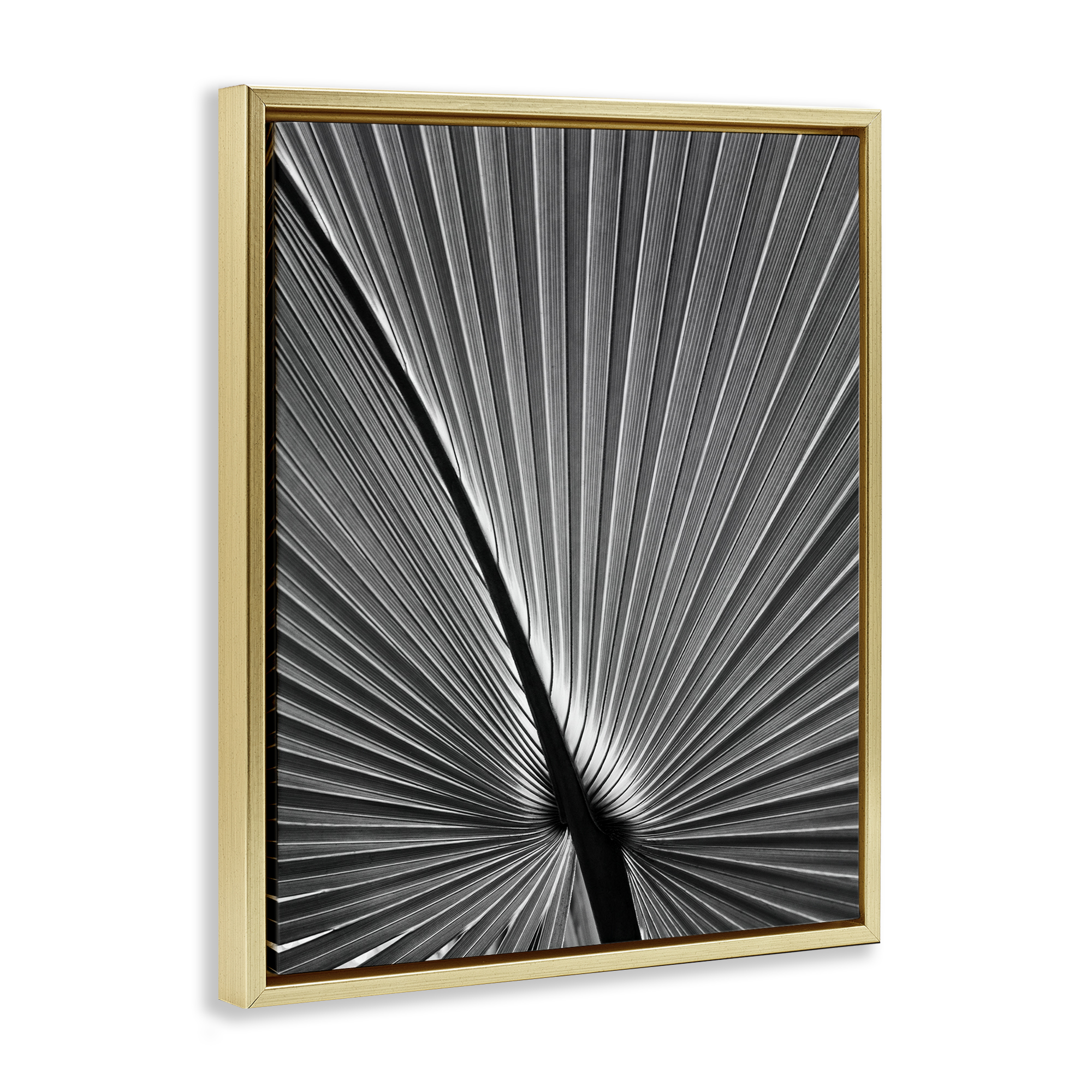 Stupell Industries Palm Frond Detail Botanical & Floral Photography Gold Floater Framed Art Print Wall Art, 17 x 21