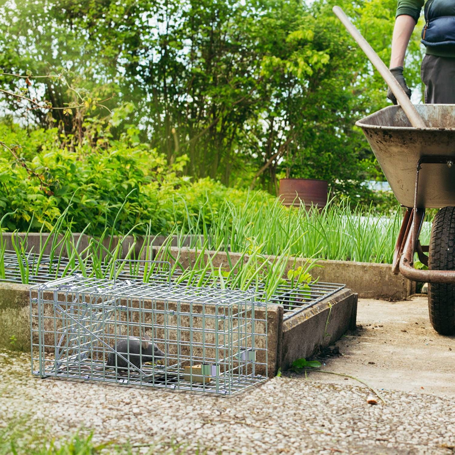 2Pack High-Sensitive Reusable Rat Trap Cage – Quick-Catch One-Touch Trigger, Solid Galvanized Wire, Weatherproof for Home, Kitchen, Garden, Warehouse – Non-Toxic & Pet-Safe
