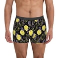 thumbnail image 2 of Bingfone Lavender Flowers Men's Underwear - Casual Stretch Boxer Briefs-Medium, 2 of 7