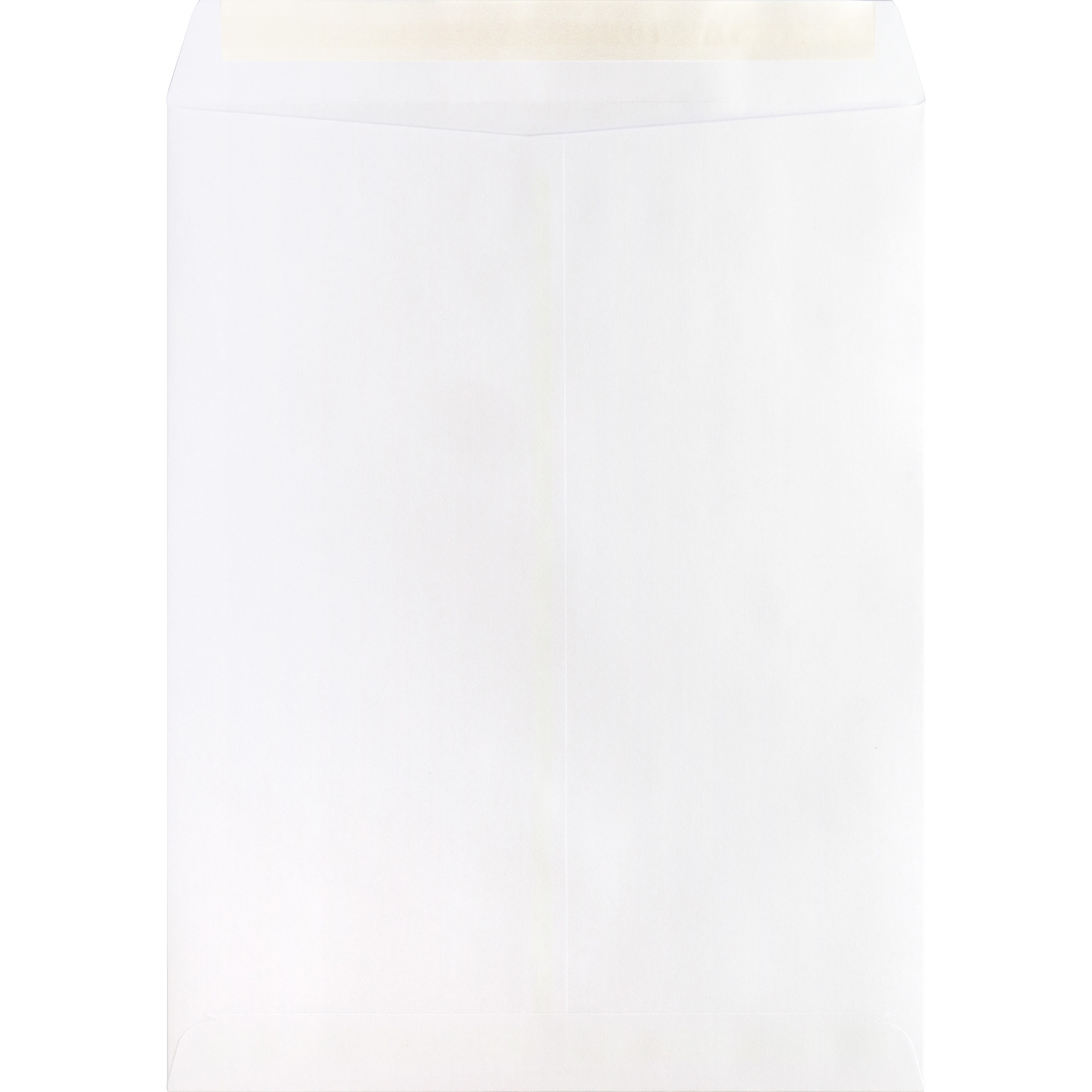 Business Source, BSN65451, Self Sealing Catalog Envelopes, 100 / Box, White