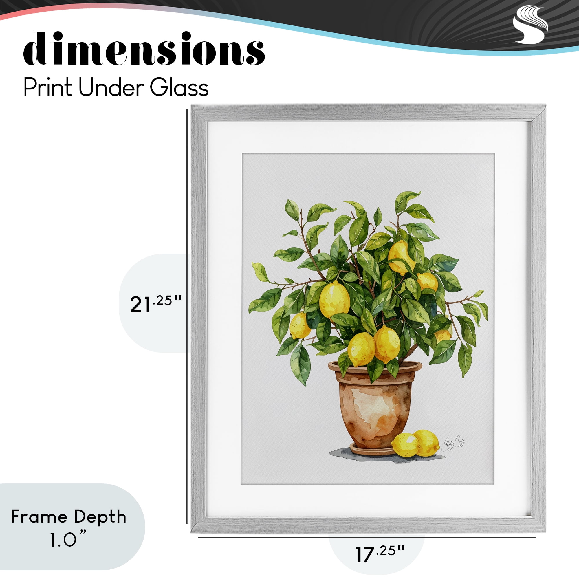Stupell Industries Potted Lemon Tree Gray Framed Print Under Glass, design by Shelly Craig